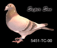 Super_Son1