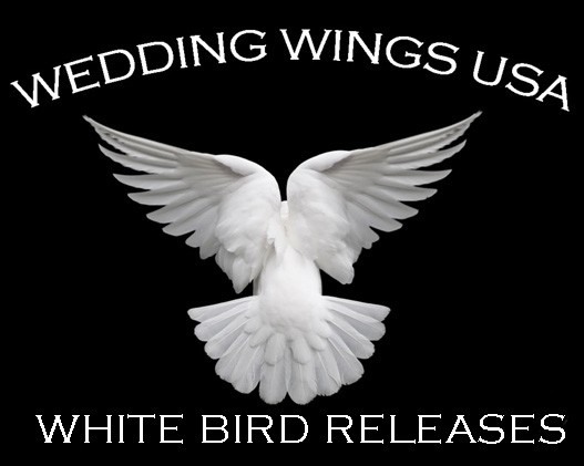 weddingwingslogo#2