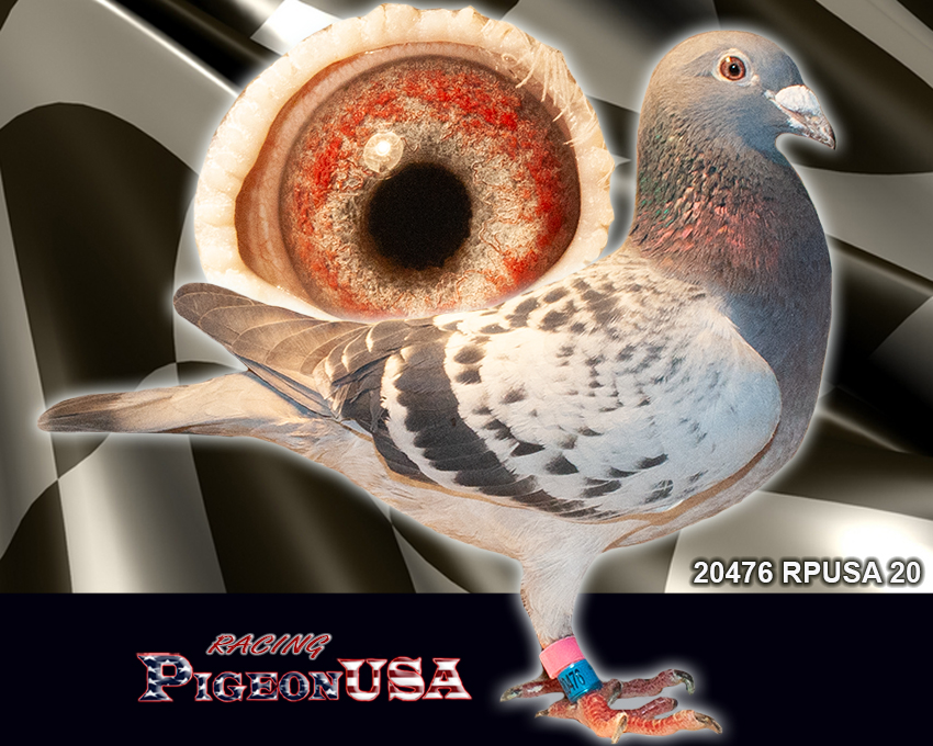 20476RPUSA20