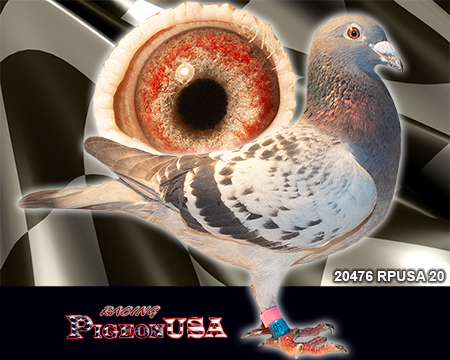 20476RPUSA20h