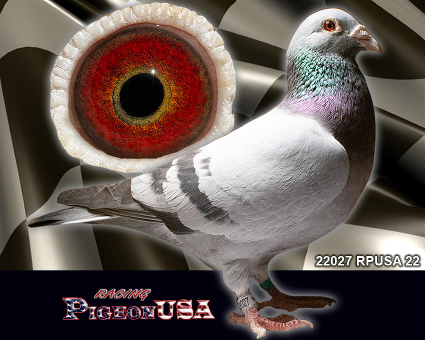 22027RPUSA22