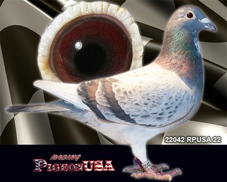 22042RPUSA22h