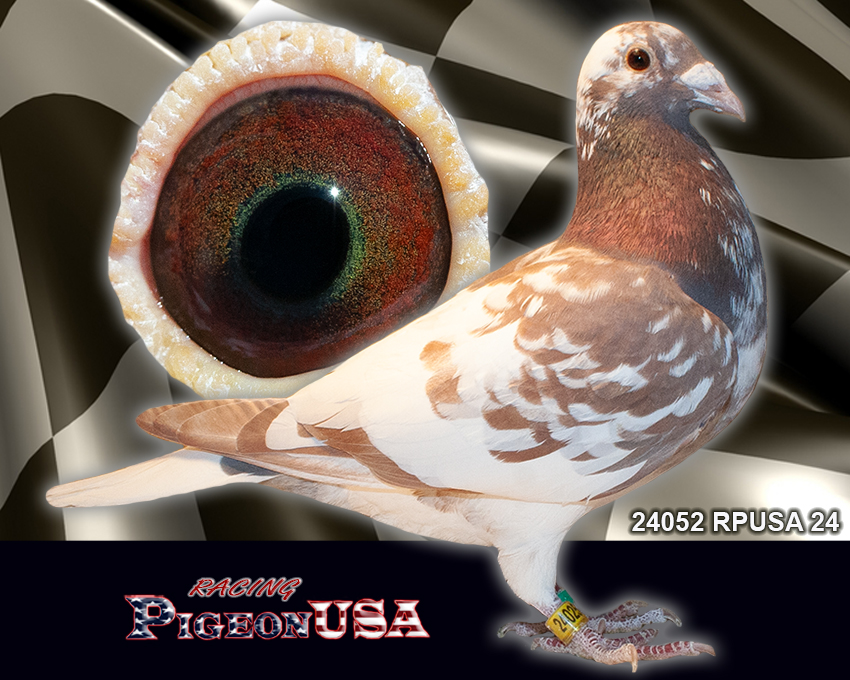 24052RPUSA24