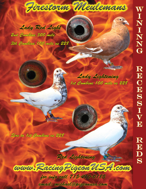 2_Page_AU_Yearbook_Right_Page_2007_WP