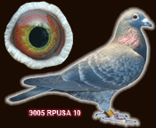 9005RPUSA2010sm