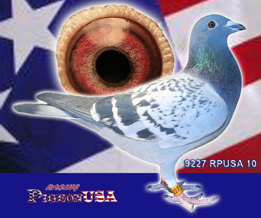 9227RPUSA10