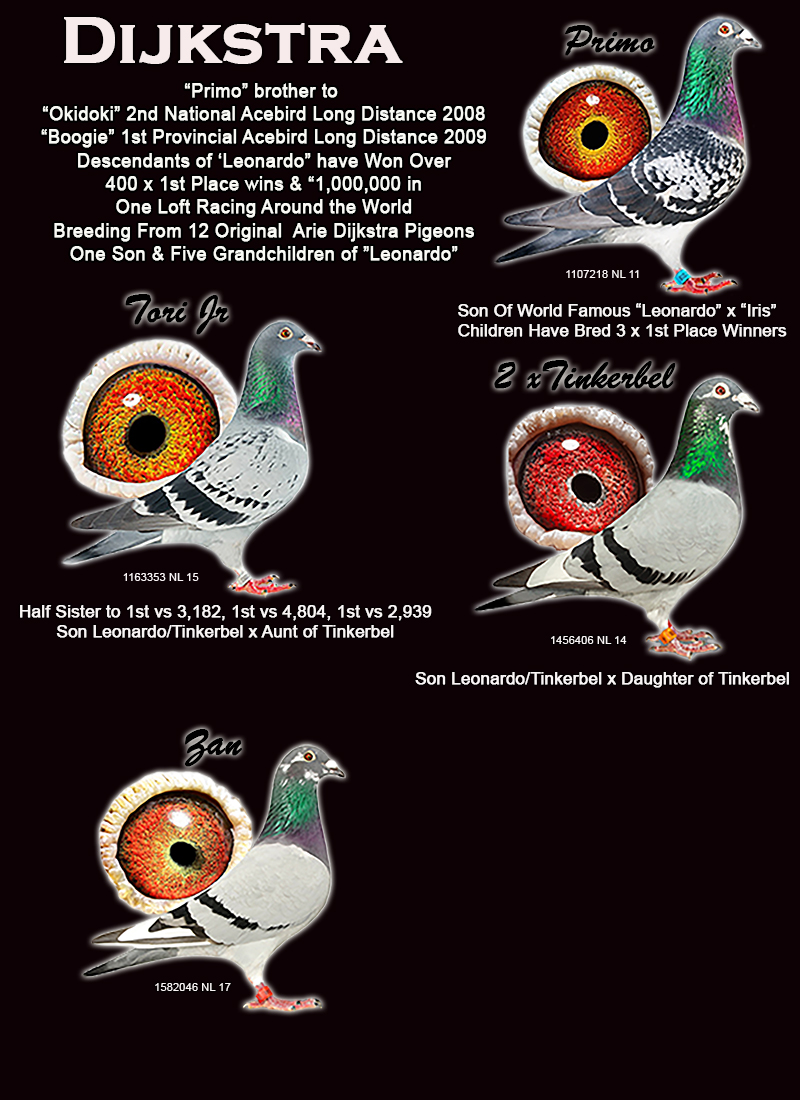 Dijkstra Website Page 2022