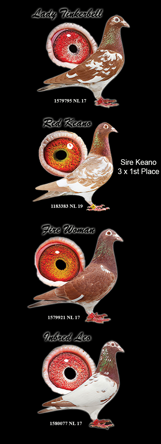 Dijkstra's Breeder Page Side Panel3