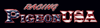 Website-Home-Logo