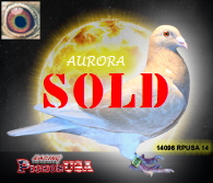 14096RPUSA14sm 14096RPUSA14sm