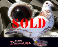 19026RPUSA19sm 19026RPUSA19sm
