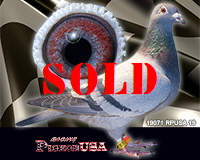 19071RPUSA19sm 19071RPUSA19sm