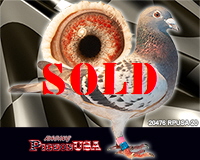 20476RPUSA20sm 20476RPUSA20sm