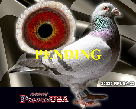 22027RPUSA22h