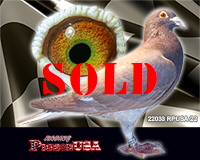 22033RPUSA22sm 22033RPUSA22sm