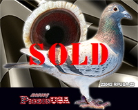 22042RPUSA22sm 22042RPUSA22sm