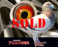 22045RPUSA22sm 22045RPUSA22sm
