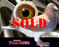 22106RPUSA22sm 22106RPUSA22sm