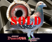 23001RPUSA23sm 23001RPUSA23sm
