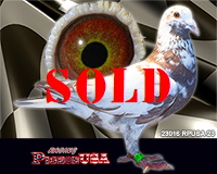 23016RPUSA23sm 23016RPUSA23sm