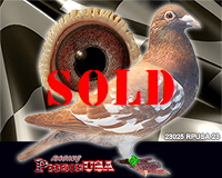 23025RPUSA23sm 23025RPUSA23sm