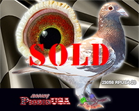 23058RPUSA23sm 23058RPUSA23sm
