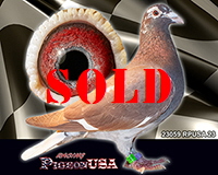 23059RPUSA23sm 23059RPUSA23sm