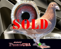 23060RPUSA23sm 23060RPUSA23sm