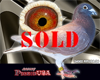 24002RPUSA24sm 24002RPUSA24sm