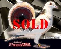 24015RPUSA24sm 24015RPUSA24sm