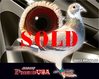 25012RPUSA25sm 25012RPUSA25sm