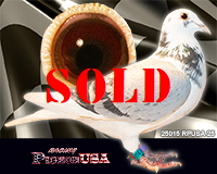 25015RPUSA25sm 25015RPUSA25sm