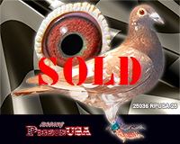 25036RPUSA25sm 25036RPUSA25sm