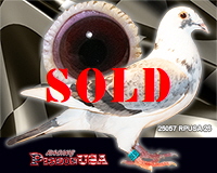 25057RPUSA25sm 25057RPUSA25sm
