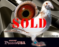 25118RPUSA25sm 25118RPUSA25sm