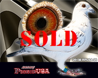 25138RPUSA25sm 25138RPUSA25sm