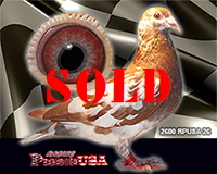 2600RPUSA26sm1 2600RPUSA26sm1