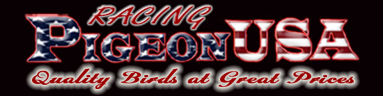 banner logo