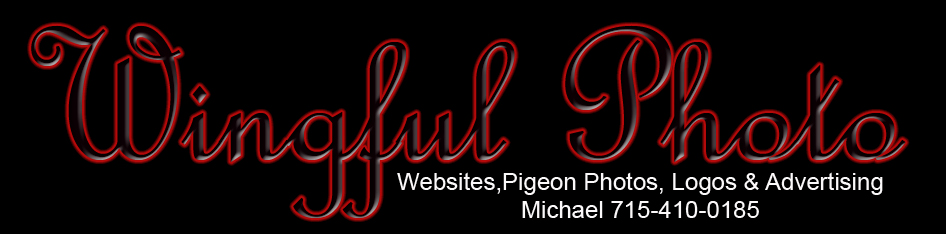 wingful_photo_logo1